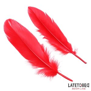 Menottes e Plumes BDSM Rouge