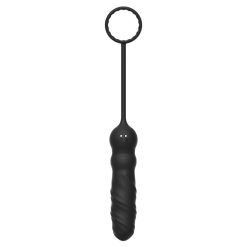Plug Anal Anneau et télécommande