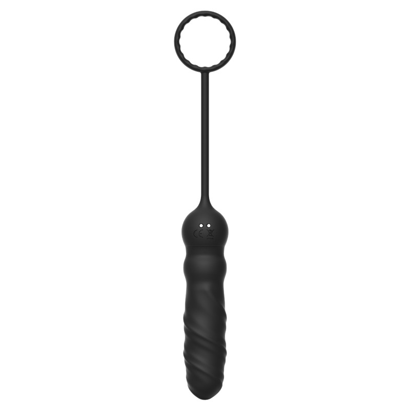Plug Anal Anneau et télécommande