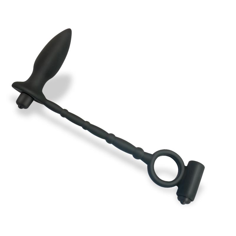 Plug Anal Vibrant avec Cockring