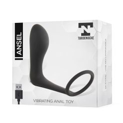 Plug Vibrant en Silicone Anneau