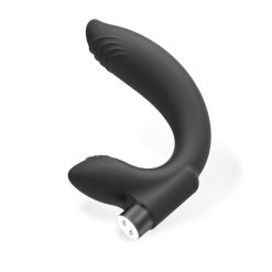 Plug Vibrant Point P