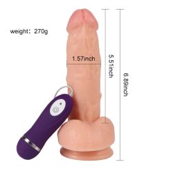 Gode Vibromasseur Homme Réaliste