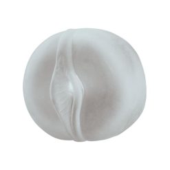 Pompe à Pénis Vagin en Silicone Aspiration
