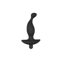 Vibromasseur Anal Prostatique Noir